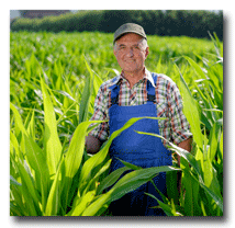 Syngenta Viptera Lawyers FAQ for Businesses in Oklahoma